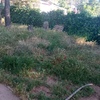 Desbrozar Jardín