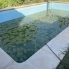Limpieza puntual de piscina