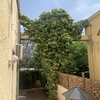 Otros Trabajos De Jardinería