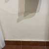 Pintar Interior De Vivienda