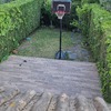 Otros Trabajos De Jardinería