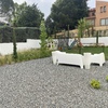 Mantener Jardín