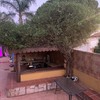 Otros Trabajos De Jardinería