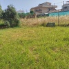 Desbrozar Jardín