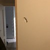 Hacer Trabajos Pladur en Vivienda