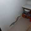 Arreglar Humedades