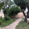 Mantener Jardín