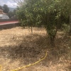 Realizar Pozo de Agua