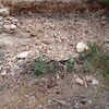 Construir Muro