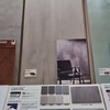 Pintar Interior De Vivienda