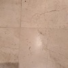 Fumigación o Desinsectación