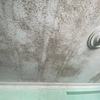 Limpieza Vivienda (1 vez)