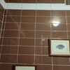 Pintar Interior De Vivienda