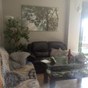 Decorar Vivienda