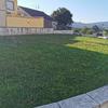 Licitación para mantenimiento del jardín