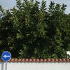 Otros Trabajos De Jardinería
