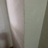 Limpieza Vivienda (1 vez)