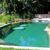 Construir Piscina Natural