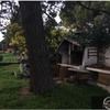 Talar 3 pinos de unos 6-8 metros en galapagar vivienda unifamiliar