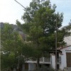 Trocear pino