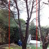 Talar 3 pinos