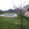 Mantenimiento de piscina y jardinero en la misma persona