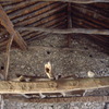 Construcción Parcial Casa