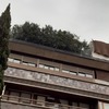 Talar árboles