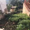 Proyecto Estructural
