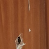 Pequeños Trabajos Carpintería Madera