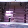 Reformar local comercial