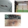 Proyecto Pequeña Modificación Estructural
