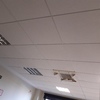 Otros Trabajos De Electricidad