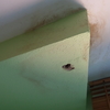 Impermeabilizar terraza por filtraciones