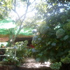 Quitar el gotel