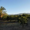 Vallar una finca en sangonera la seca (murcia)
