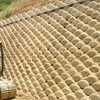 Construir Muro Bloque