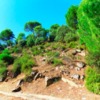 Movimiento de Tierras