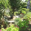 Hacer puesta a punto de jardín