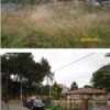 Allanar terreno en castellar