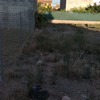 Proyectar Poliuretano