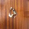 Reparar Carpintería Madera