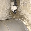 Revisar Instalación Fontanería