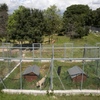 Construir Muro Bloque