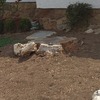 Otros Trabajos De Jardinería