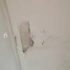 Reforma Vivienda