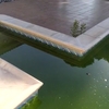 Limpieza puntual de piscina