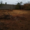 Desbrozar Jardín
