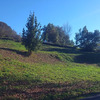 Movimiento de Tierras