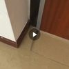 Instalar Puerta de Seguridad